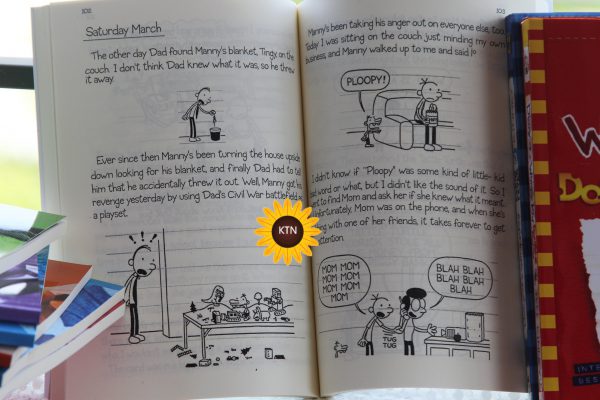 Diary Of A Wimpy Kid