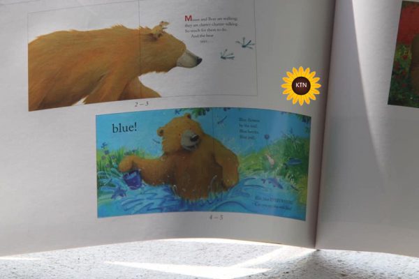 Sách Song Ngữ - Cùng Gấu Khám Phá – The Bear Books (Bộ 3 Cuốn)